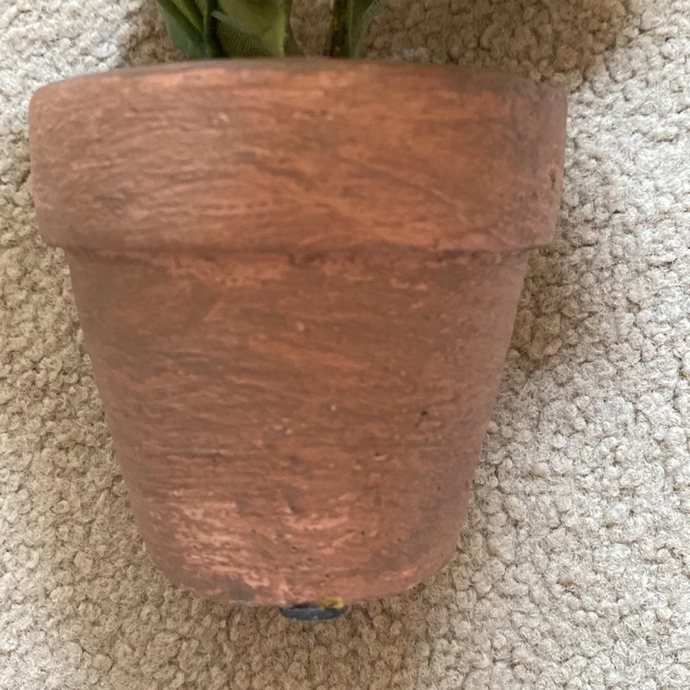 COPY - Terra Cotta White Potted Rose